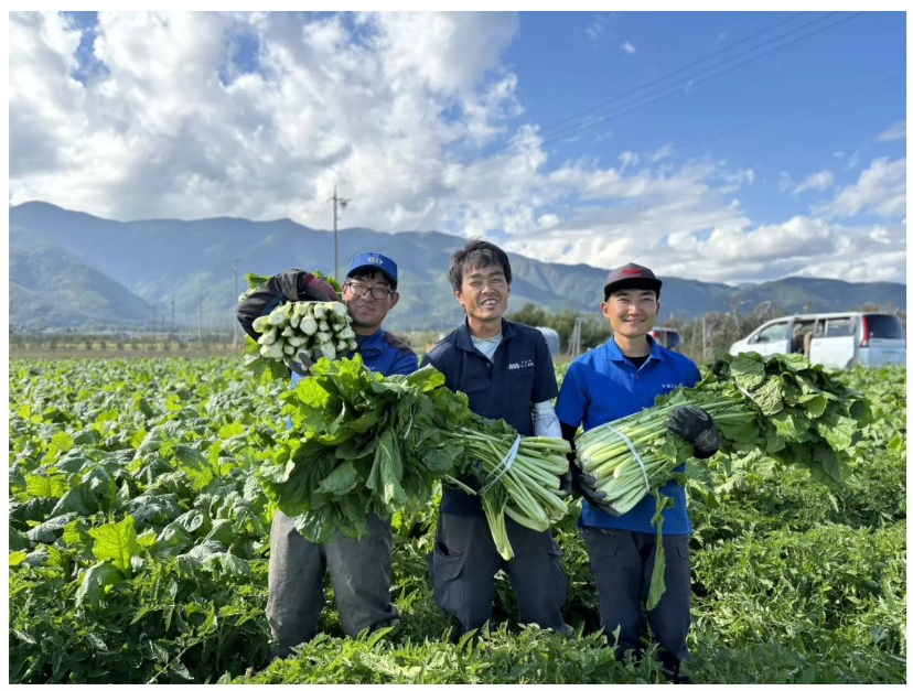 野沢菜（生）の販売始めます！