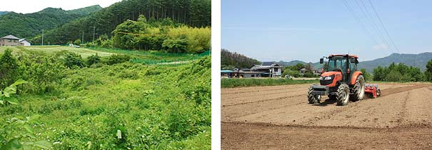 遊休荒廃農地の解消の取り組み